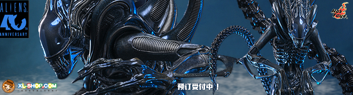 Hot Toys - MMS899 - Aliens - 1/6 Alien Warrior (Deluxe Version)