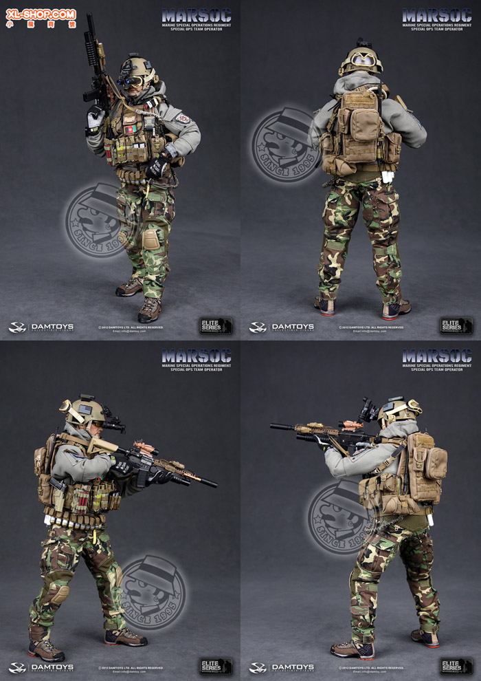 DAMTOYS - 1/6 Elite Series 78007 - Marine Special Operations